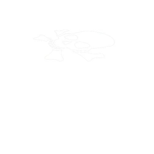 PirateDecal2