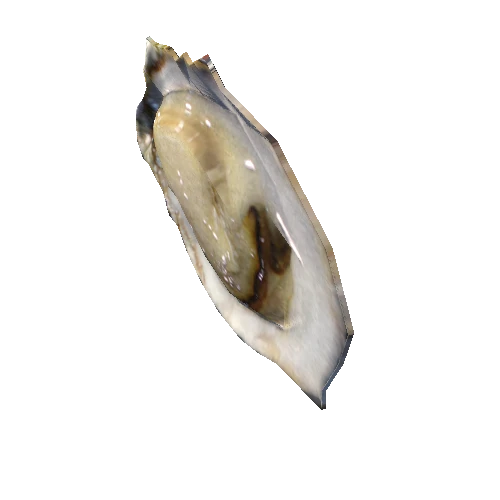 oyster09