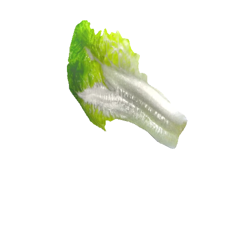 salad_leaf03_1