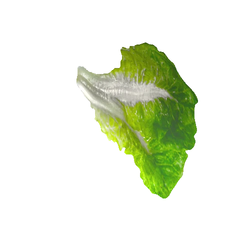 salad_leaf04_1