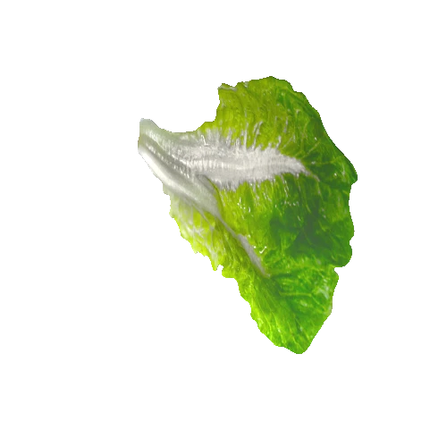 salad_leaf09_1