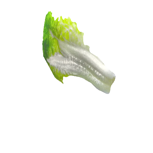 salad_leaf10_1