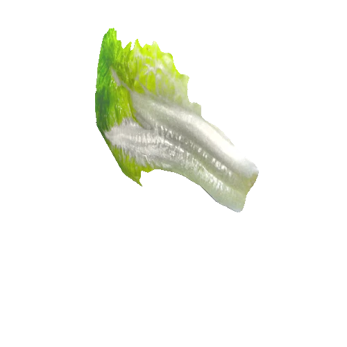 salad_leaf11_1