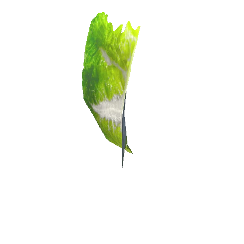 salad_leaf13_1
