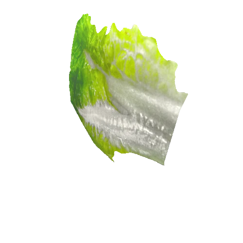 salad_leaf15_1