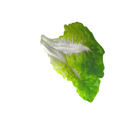 salad_leaf20_1