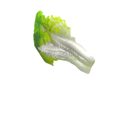 salad_leaf22_1