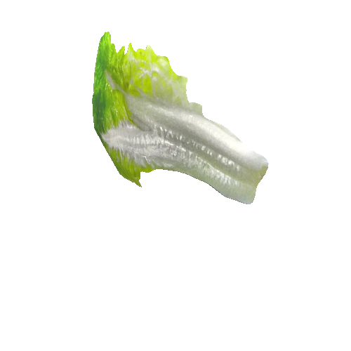 salad_leaf_1