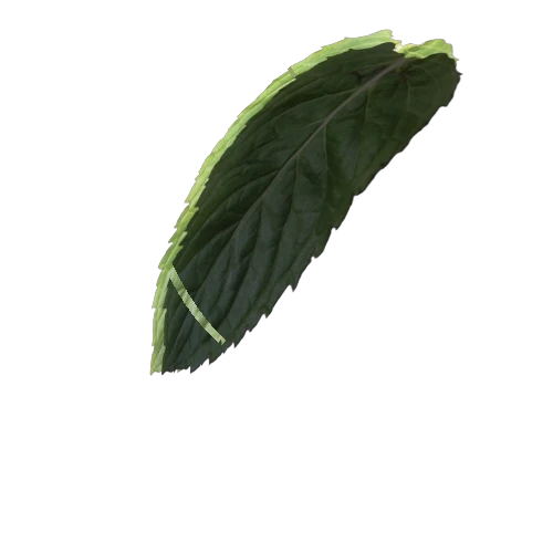 mint_leaf_006