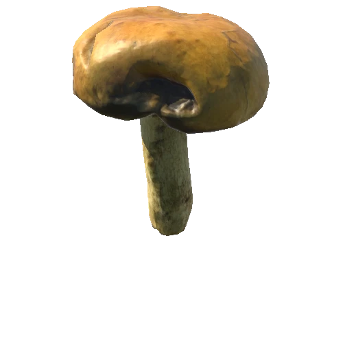 Fungus01_LOD0