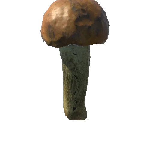 Fungus03_LOD1