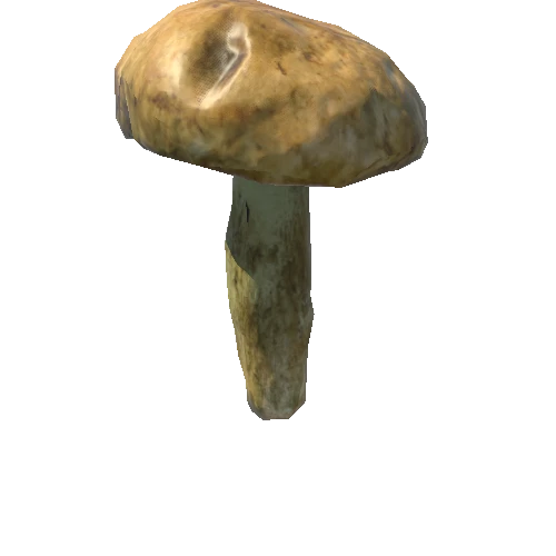 Fungus04_LOD1