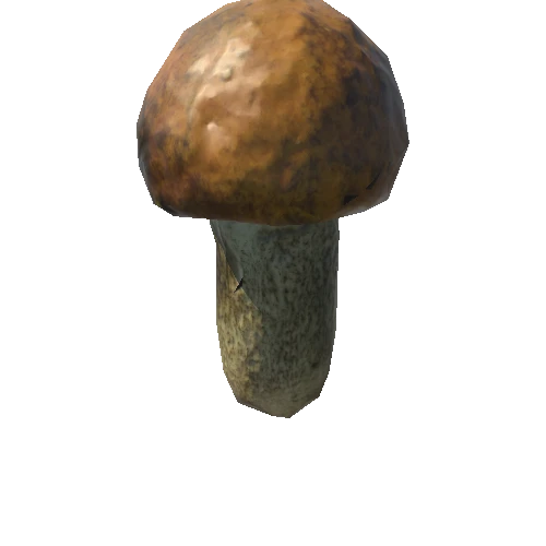 Fungus05_LOD1