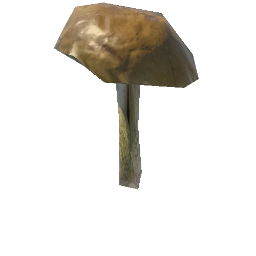 Fungus07_LOD2