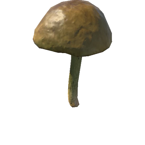 Fungus08_LOD1