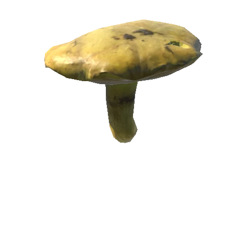 Fungus11_LOD1