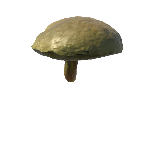 Fungus14_LOD1