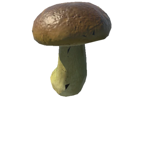 Fungus17_LOD1