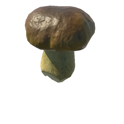 Fungus18_LOD0