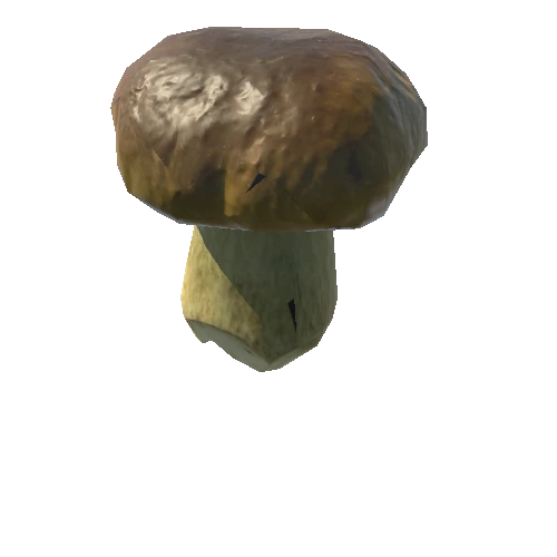 Fungus18_LOD1