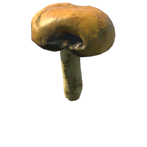Mushroom01