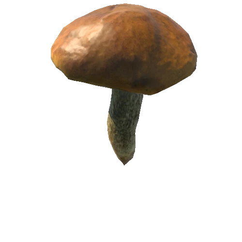 Mushroom02