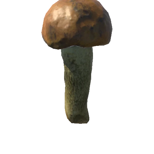 Mushroom03