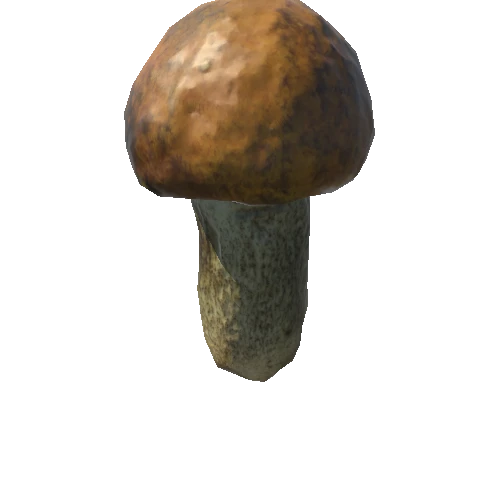 Mushroom05