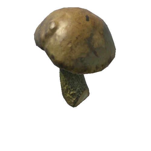 Mushroom06