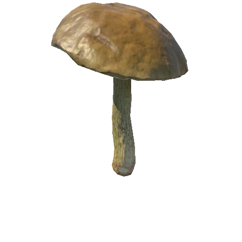 Mushroom07