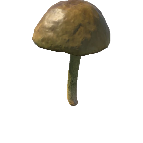 Mushroom08