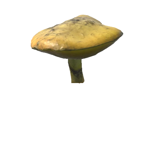 Mushroom10