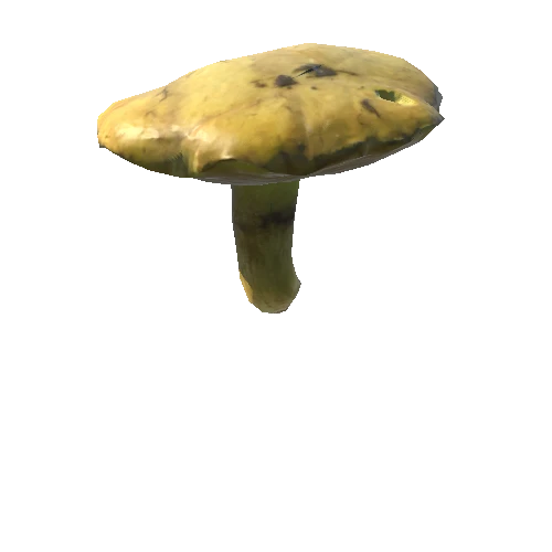 Mushroom11