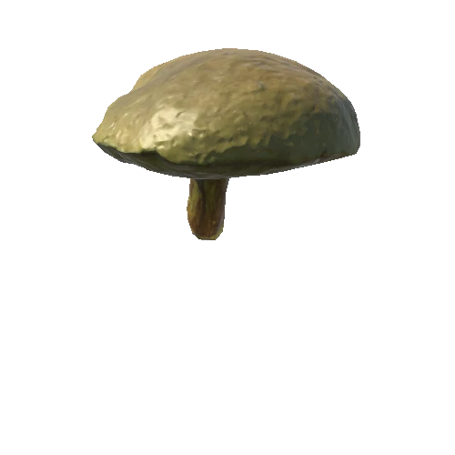 Mushroom14