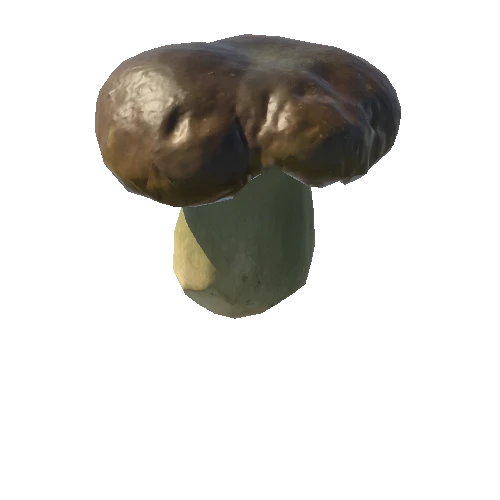 Mushroom16