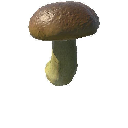 Mushroom17