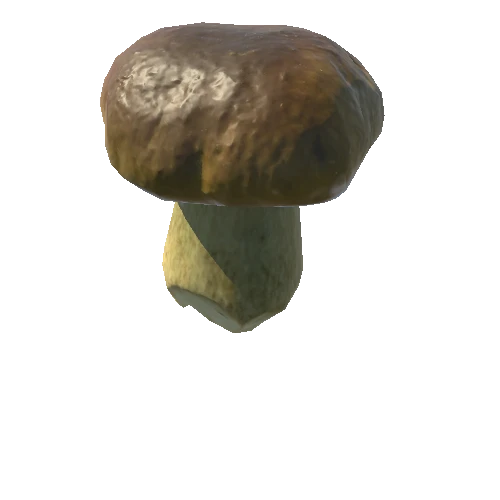 Mushroom18
