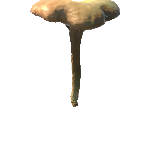 Mushroom19