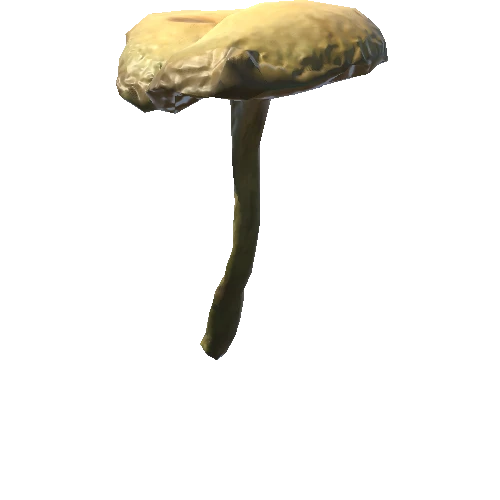 Mushroom20