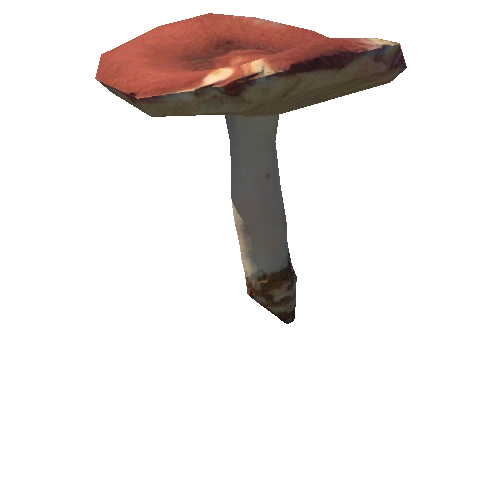 Mushroom21