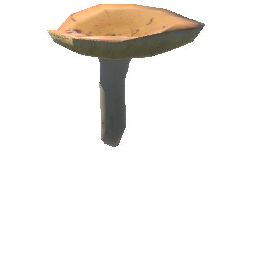 Mushroom24