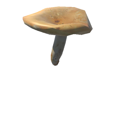 Mushroom25