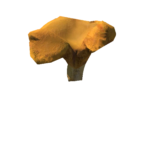 Mushroom26