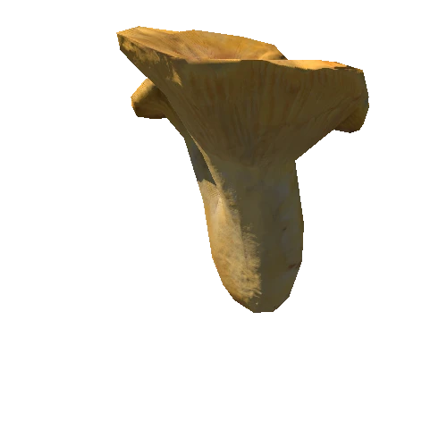 Mushroom27