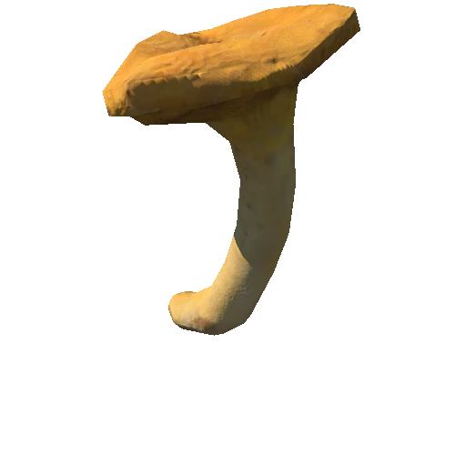 Mushroom28