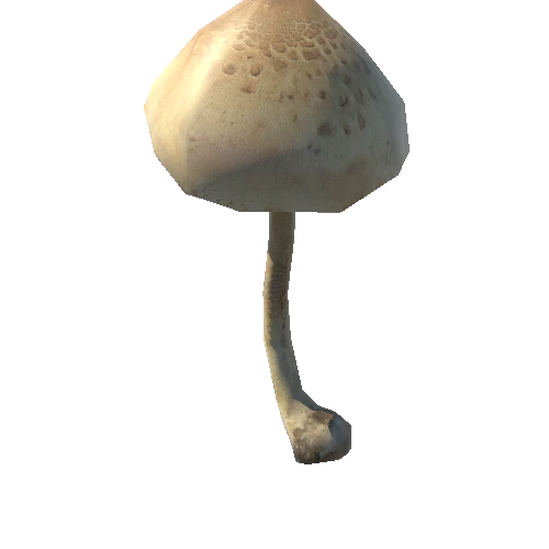 Mushroom30
