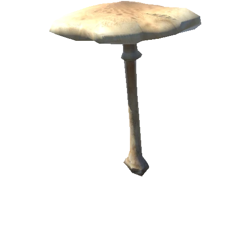 Mushroom31