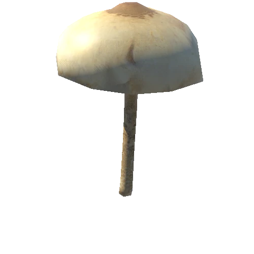 Mushroom32