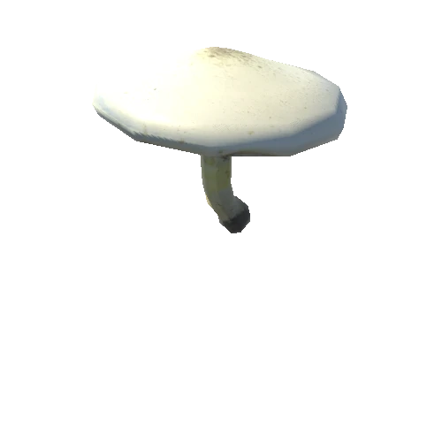 Mushroom33