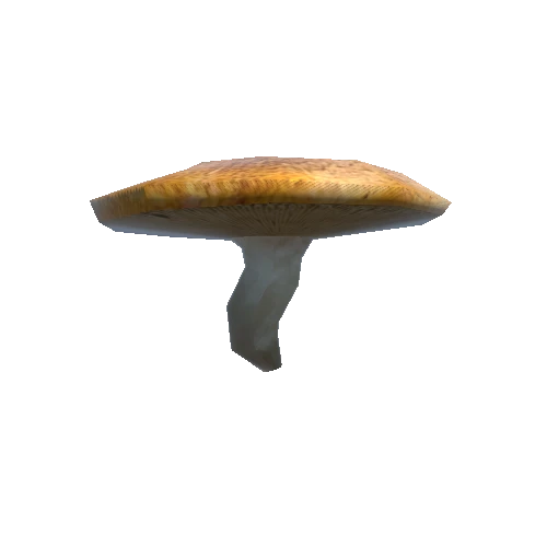 Mushroom_1_0